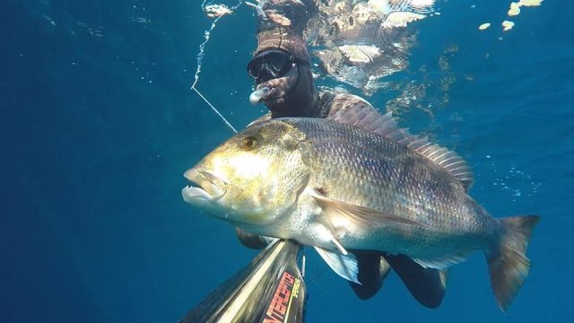 DIVE IN KUP: Međunarodno natjecanje u podvodnom ribolovu u Zadru